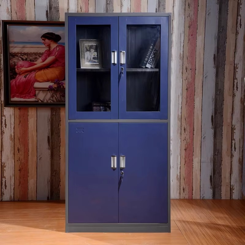 Professional Steel Instrument Cabinets with Glass Doors Manufacturer