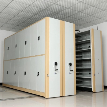 Hand Push Mobile Compactor Manufacturer